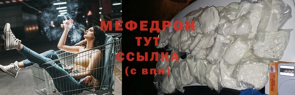стаф Богданович