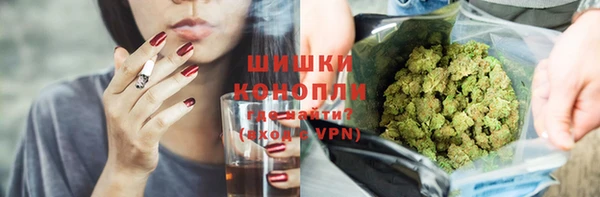 стаф Богданович