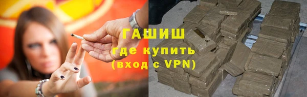 МДПВ Богородск