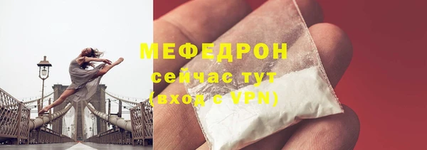 стаф Богданович