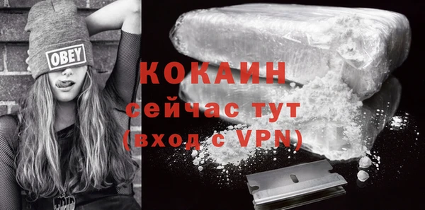 стаф Богданович
