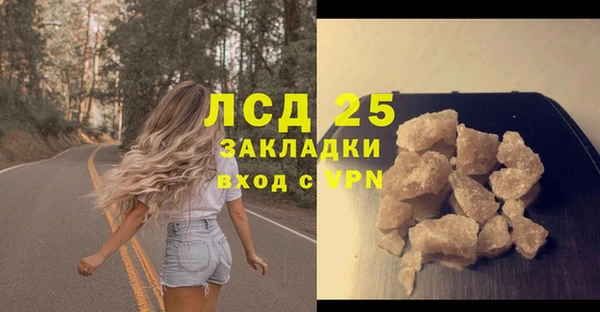 стаф Богданович