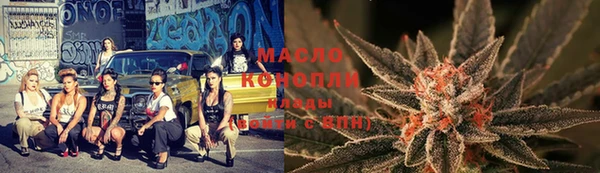 стаф Богданович