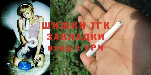 стаф Богданович