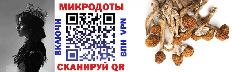 Галлюциногенные грибы мухоморы  Верещагино 